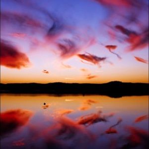 Meet your Posher, Robin